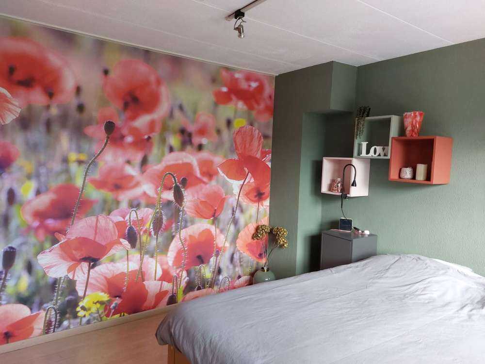 Des coquelicots au look vintage