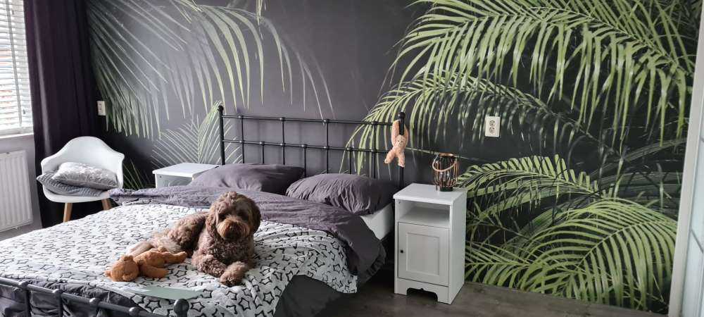 Plante à feuilles vertes