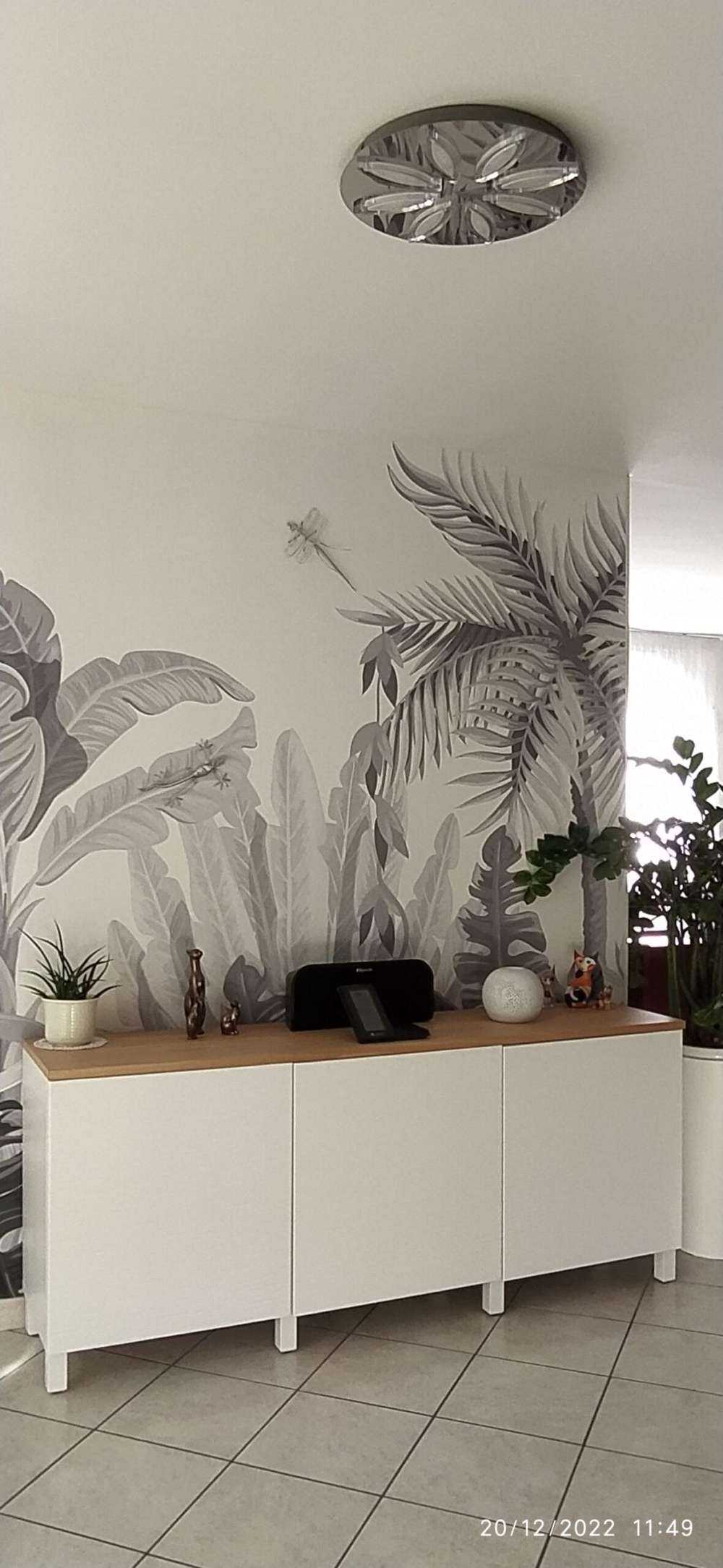 Jungle, blanc