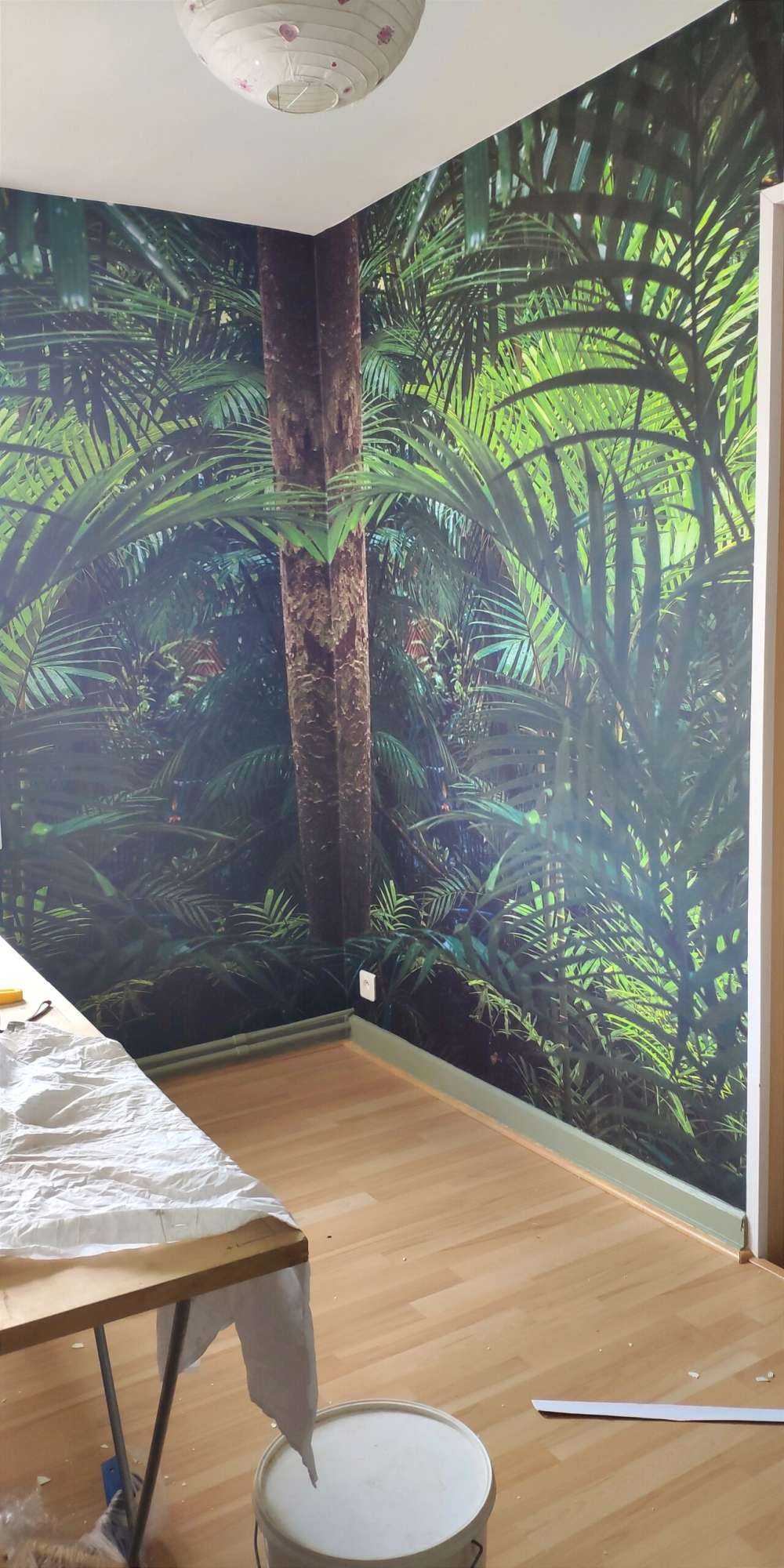Forêt tropicale humide