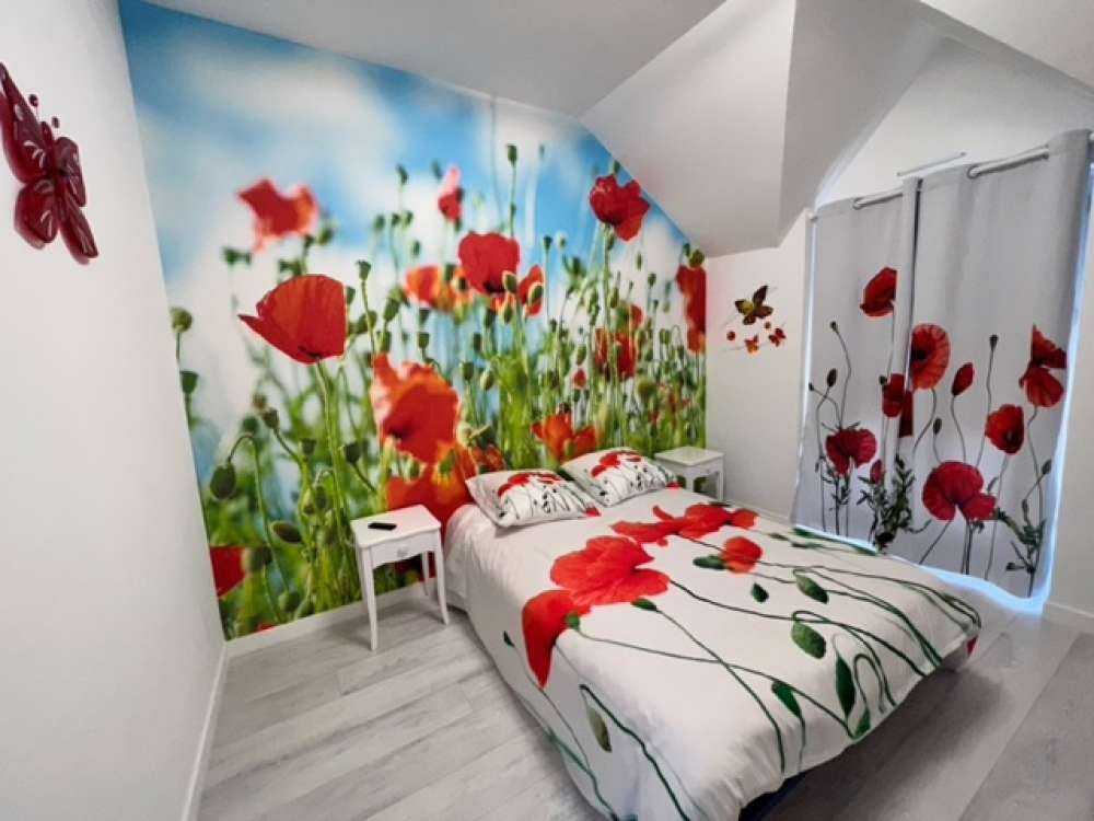 Champ avec des coquelicots