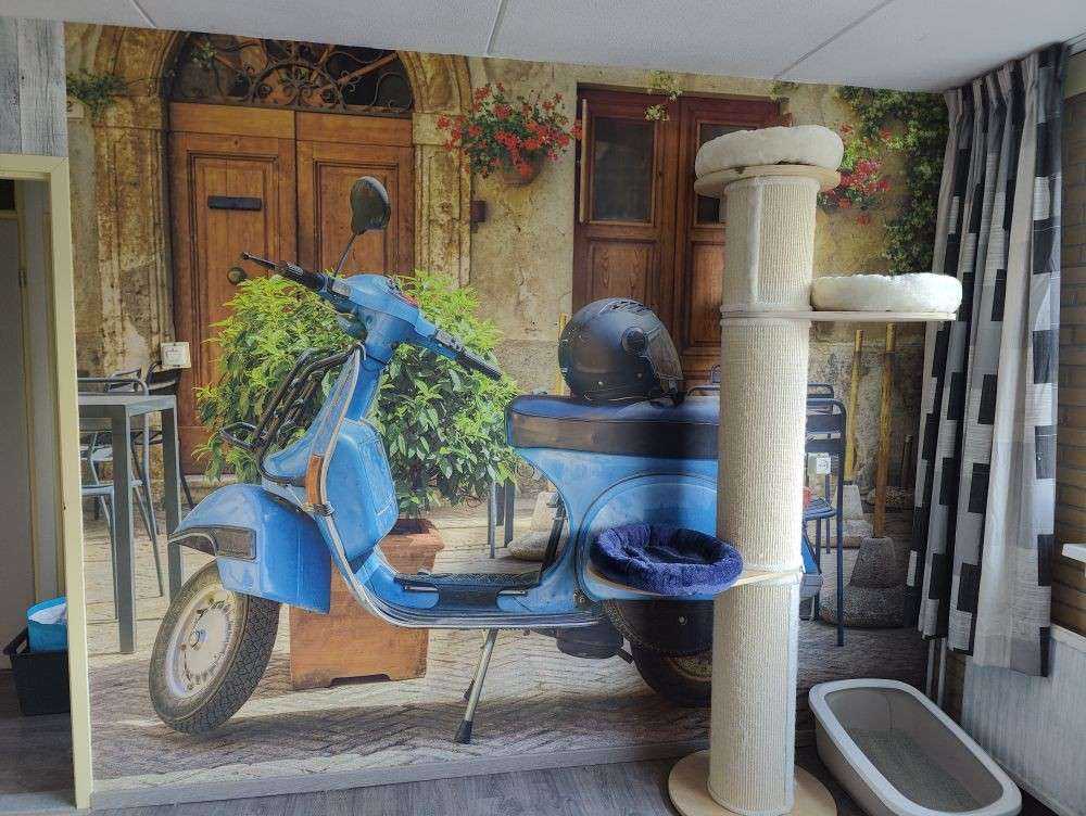Scooter bleu