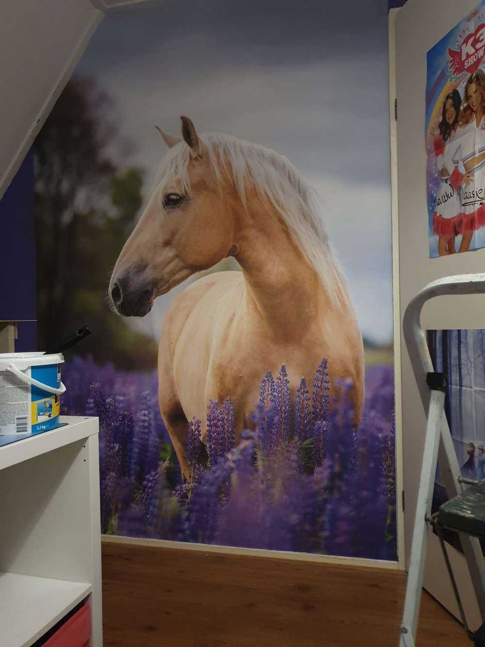Cheval parmi les fleurs de papillon