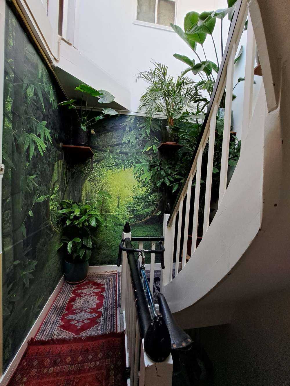 Jungle tropicale