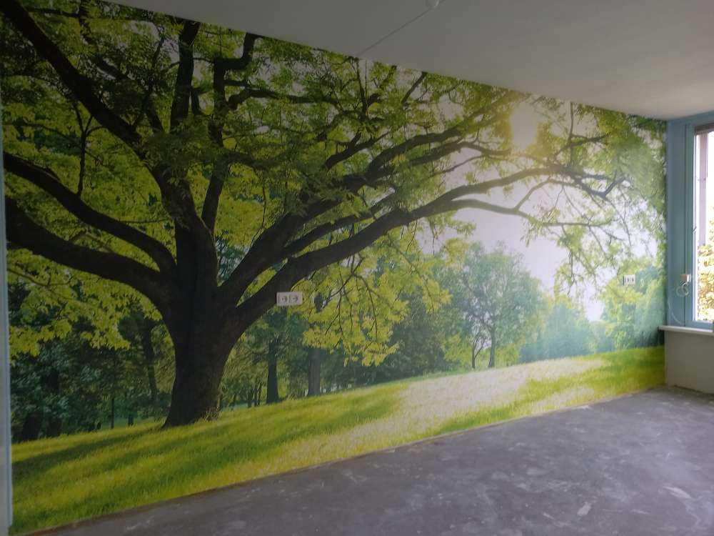 Bel arbre avec de l'herbe verte