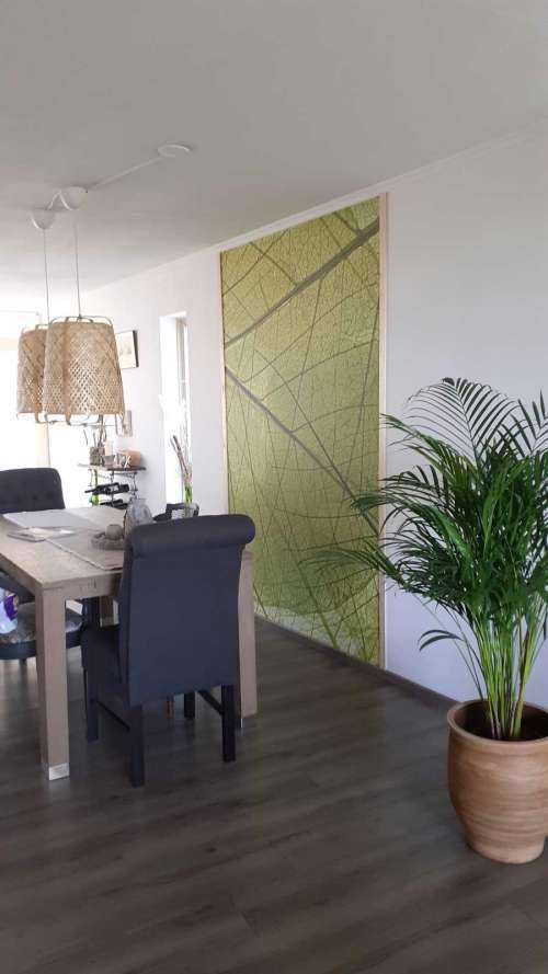 Feuilles vertes