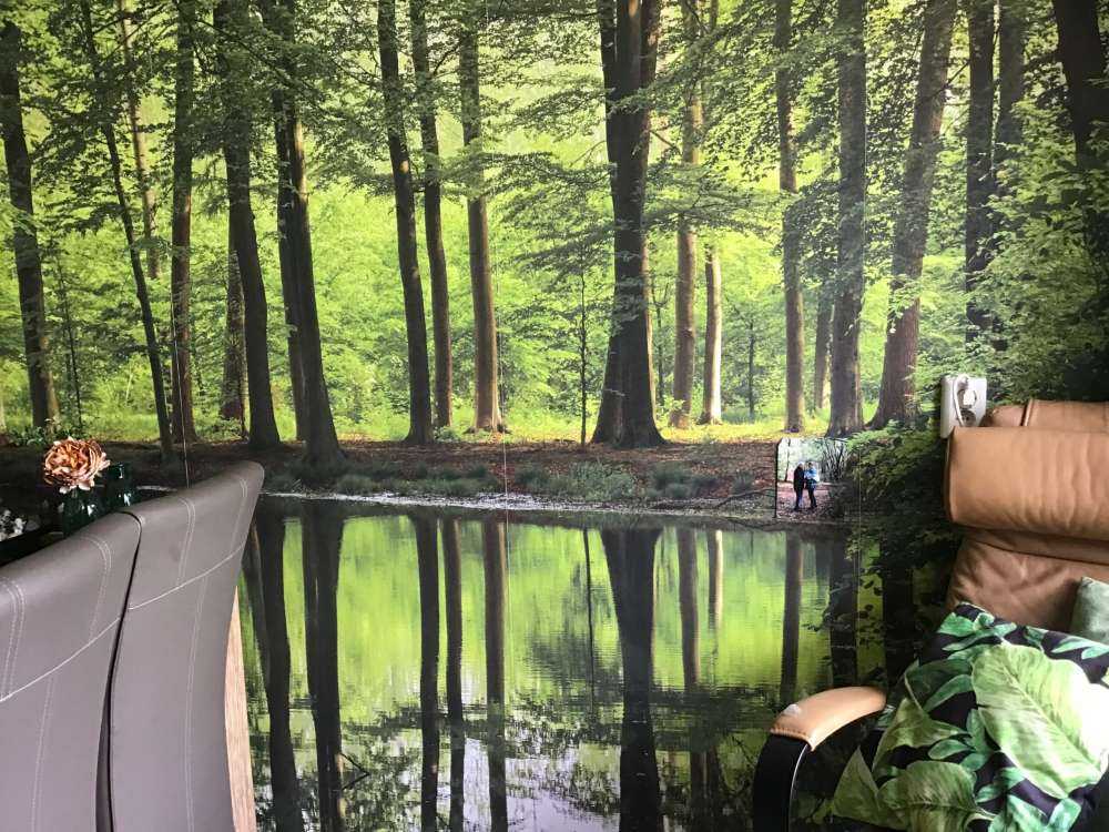 Réflexion d'arbres dans l'eau