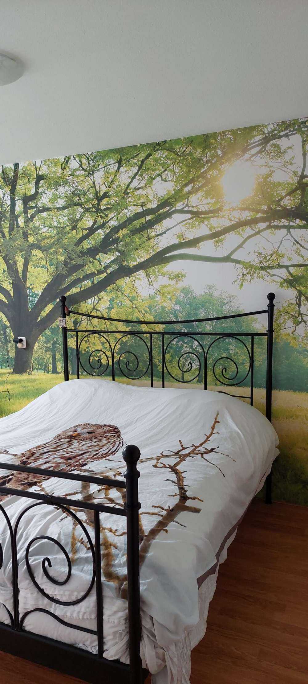 Bel arbre avec de l'herbe verte