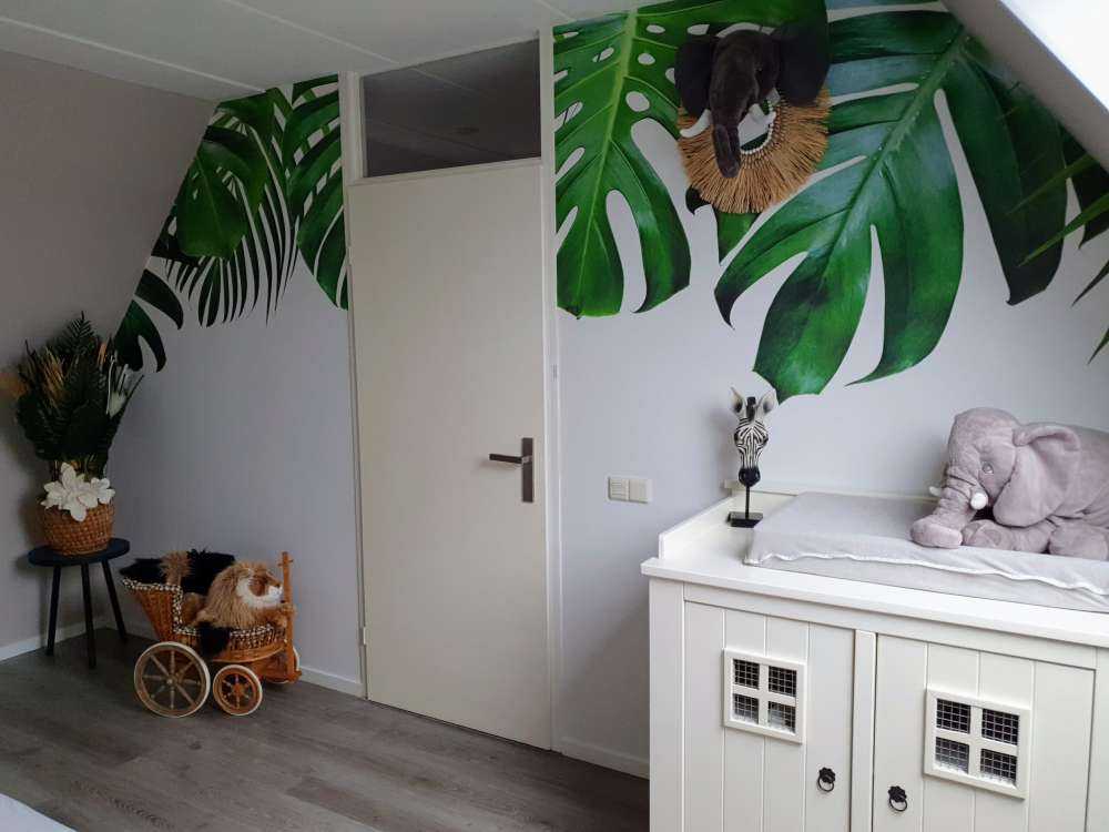 Plantes tropicales