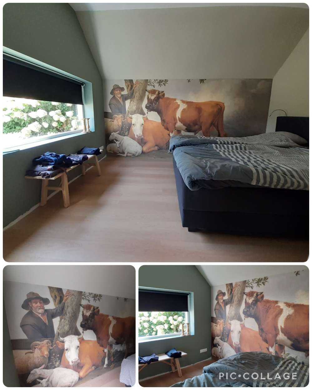 Le taureau
