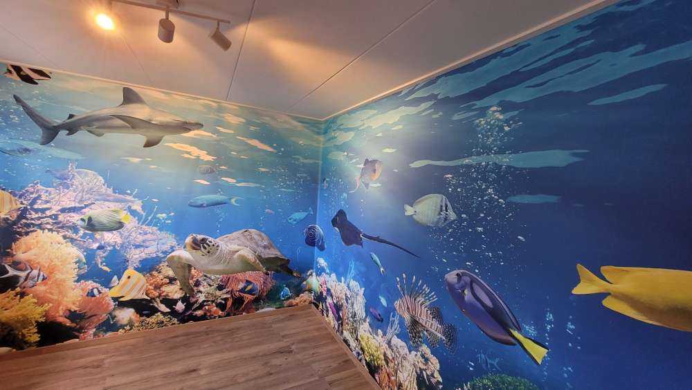 Poissons exotiques