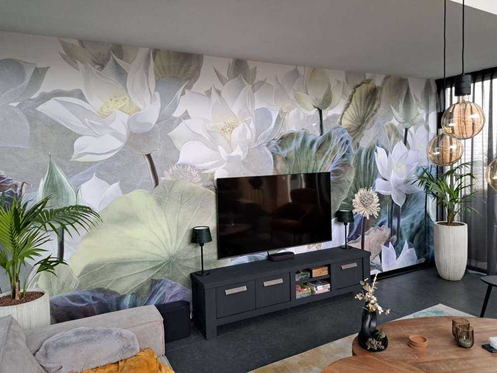 Plantes aquatiques