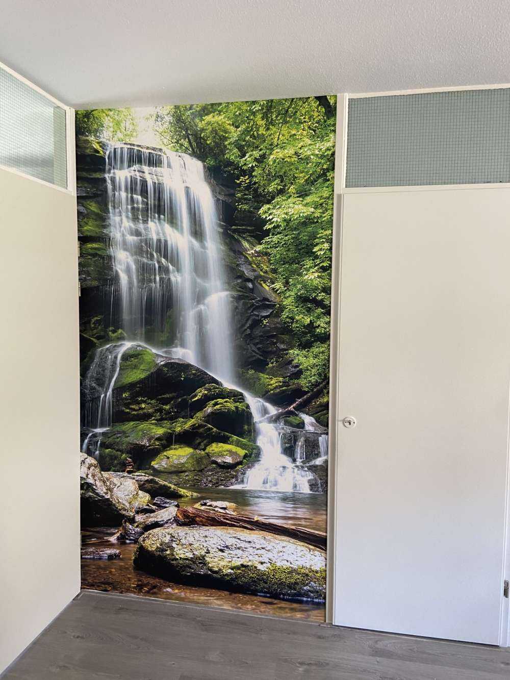 Chute d'eau de la jungle