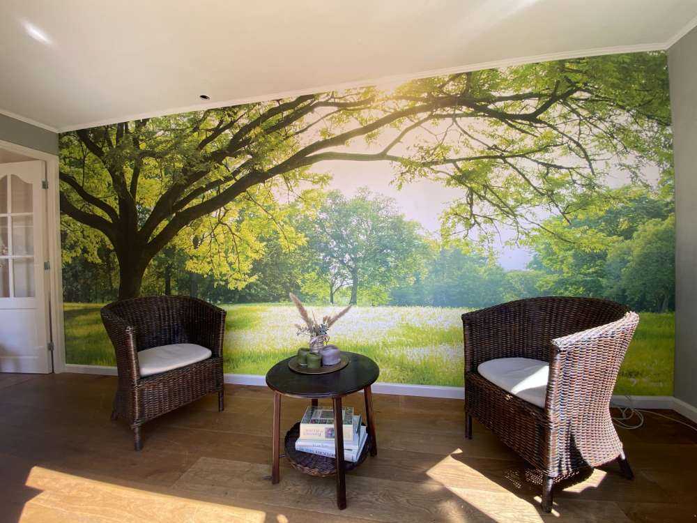 Bel arbre avec de l'herbe verte