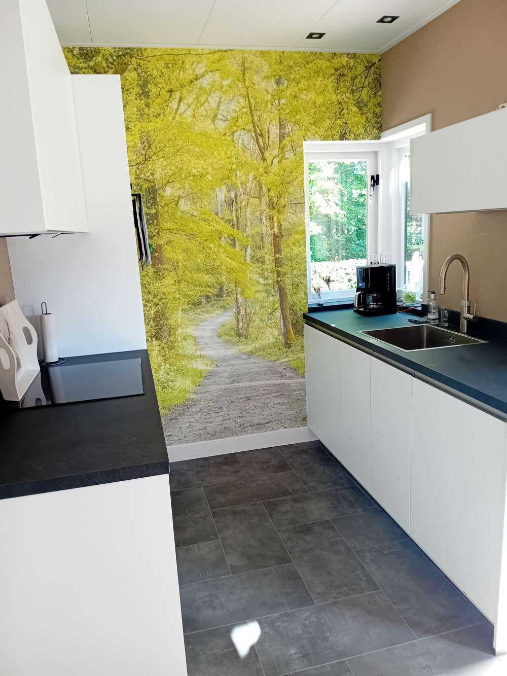 la forêt verte