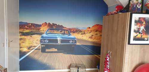 Voiture muscle dans un paysage américain