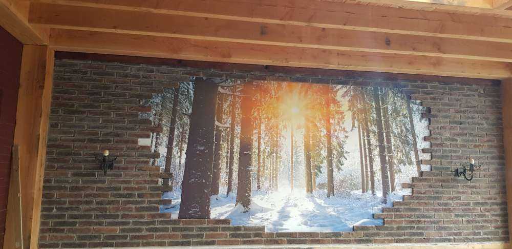 Lumière du soleil dans une forêt d'hiver