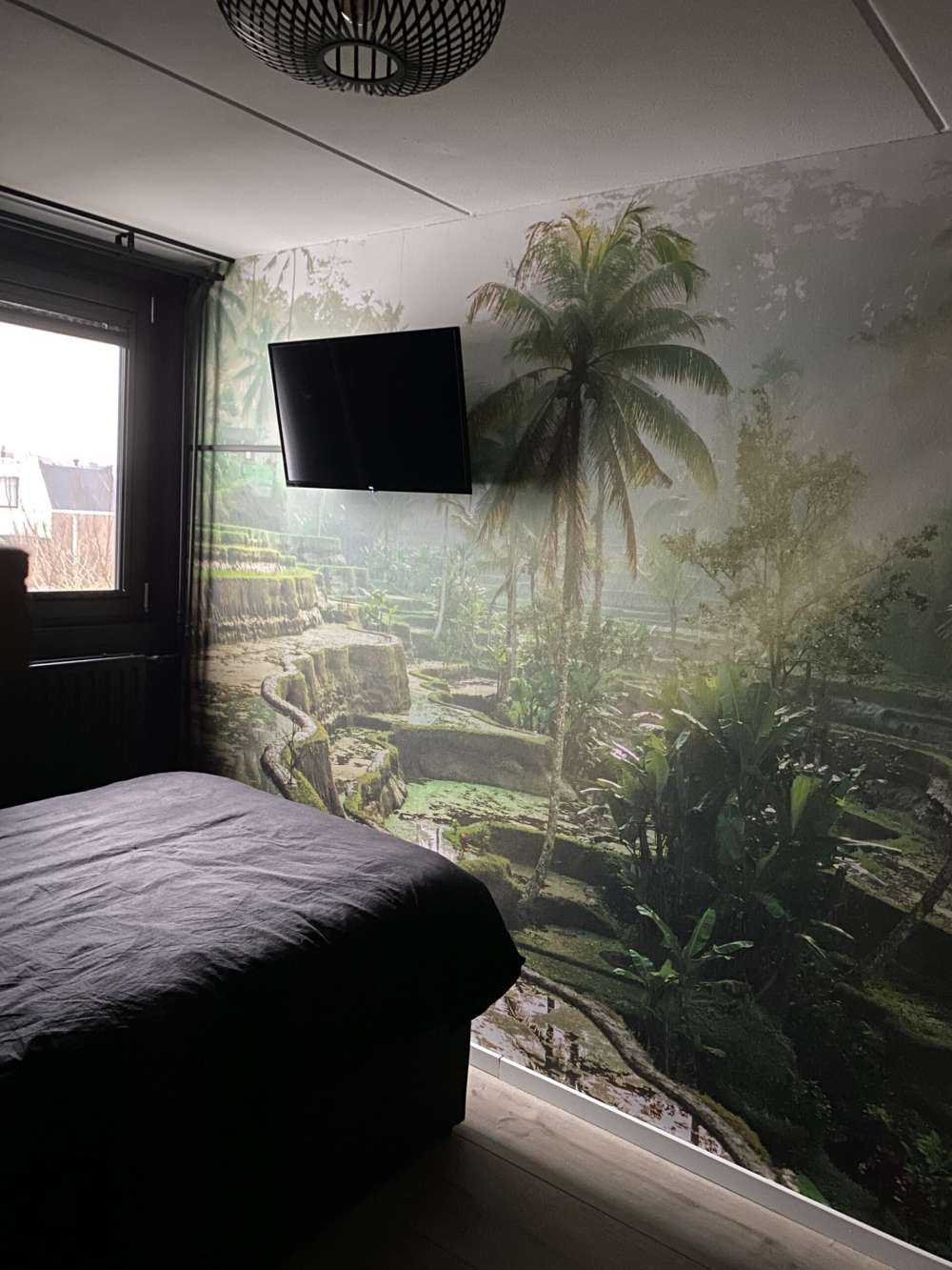 Des rizières dans la jungle