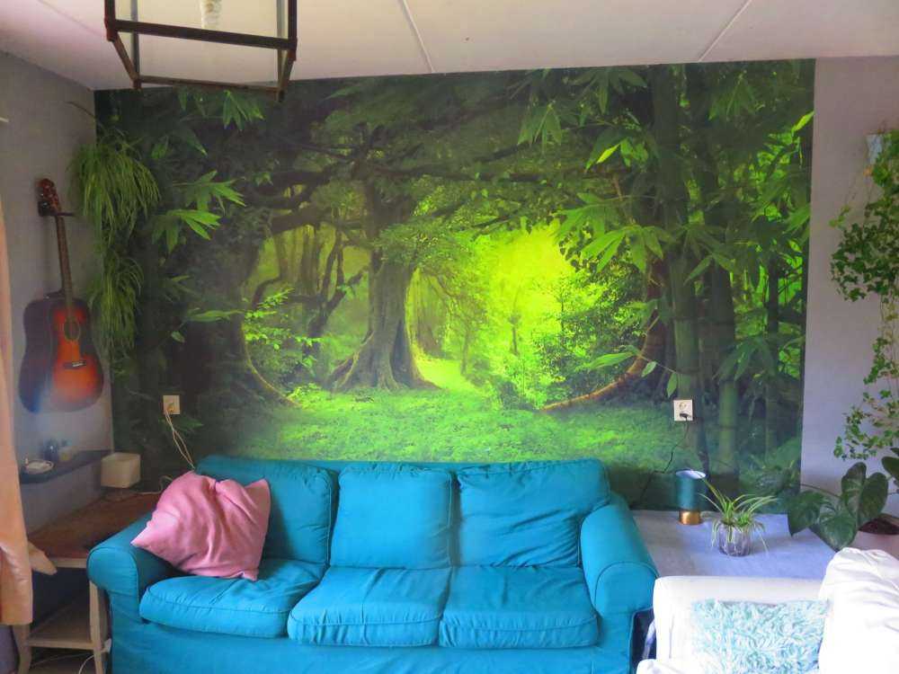 Jungle tropicale