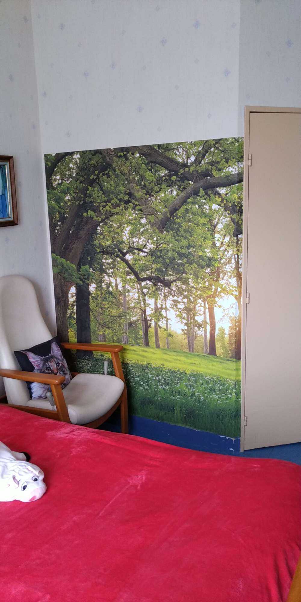 Espace ouvert dans la forêt
