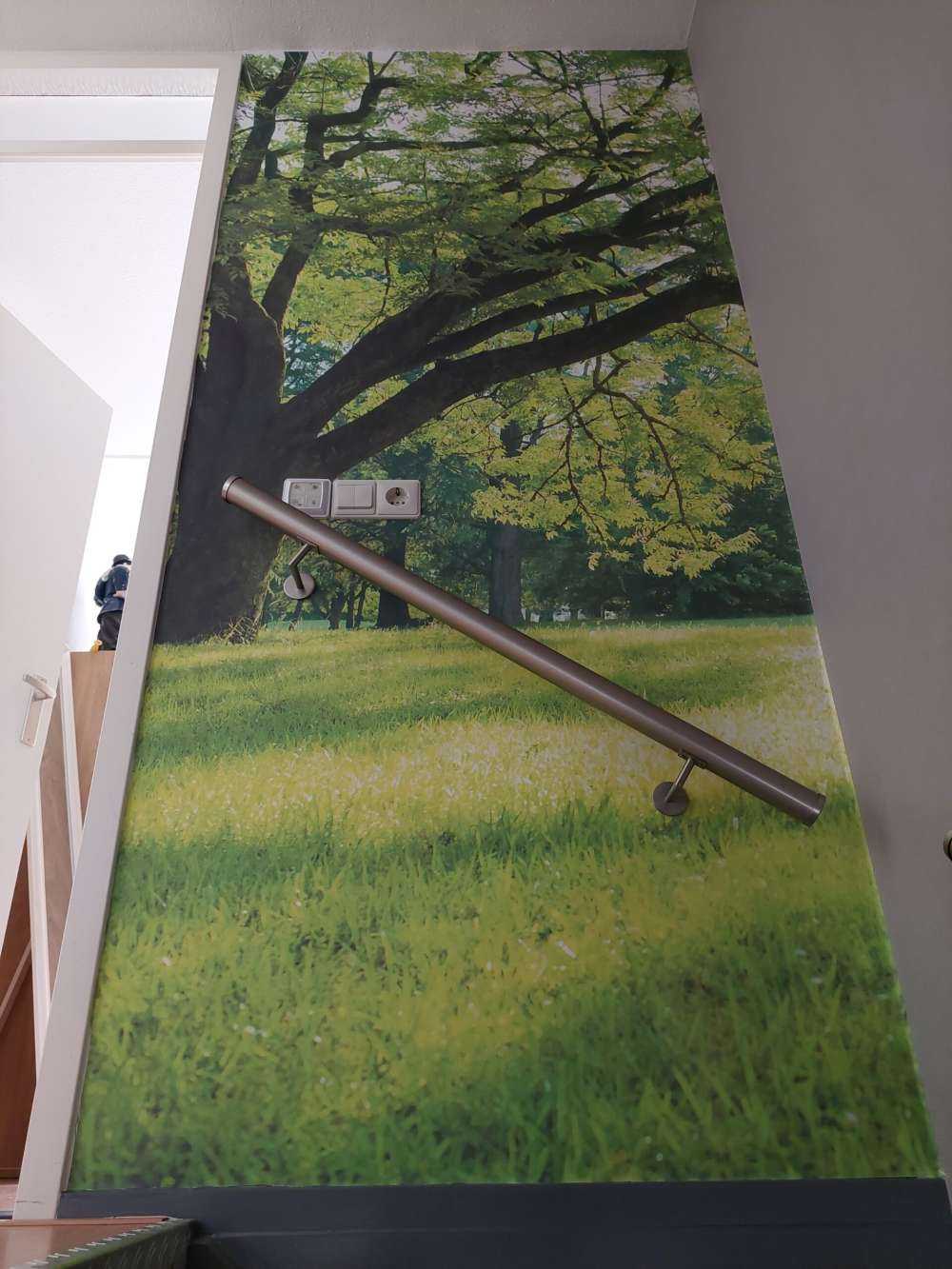 Bel arbre avec de l'herbe verte