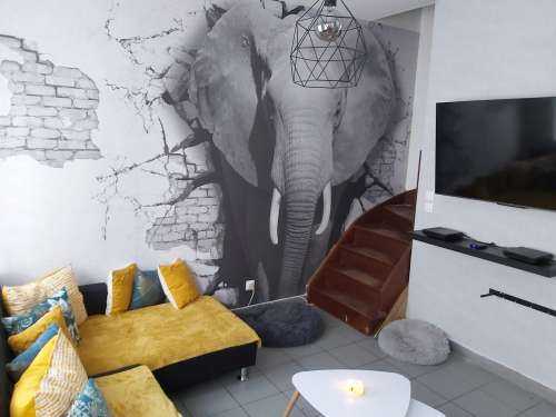 L'éléphant en 3D depuis le mur
