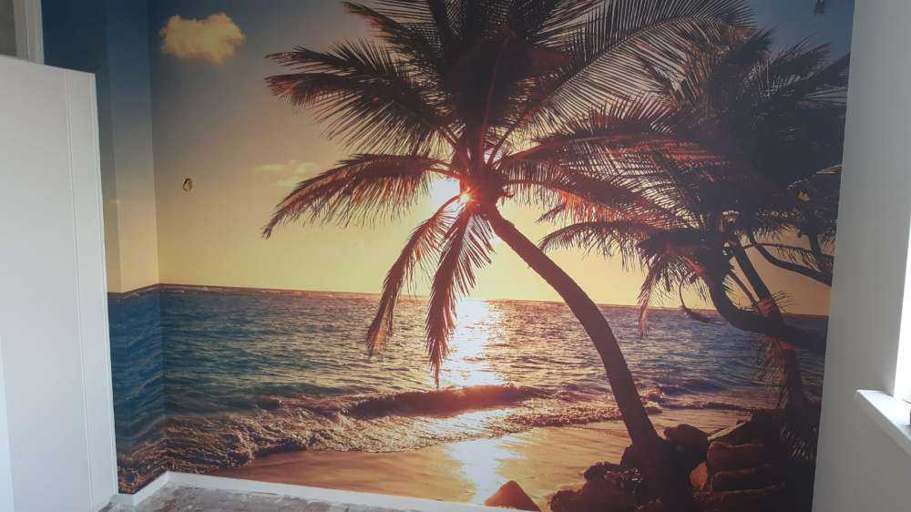 Plage tropicale