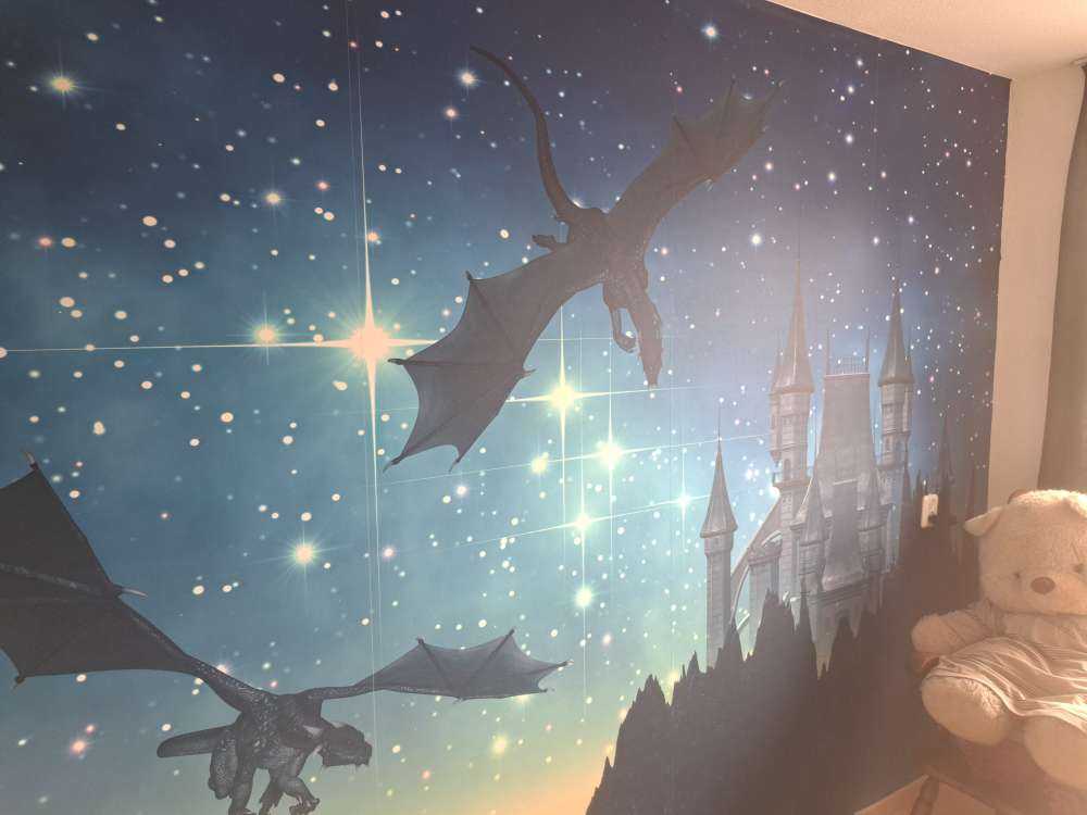 Dragons volants