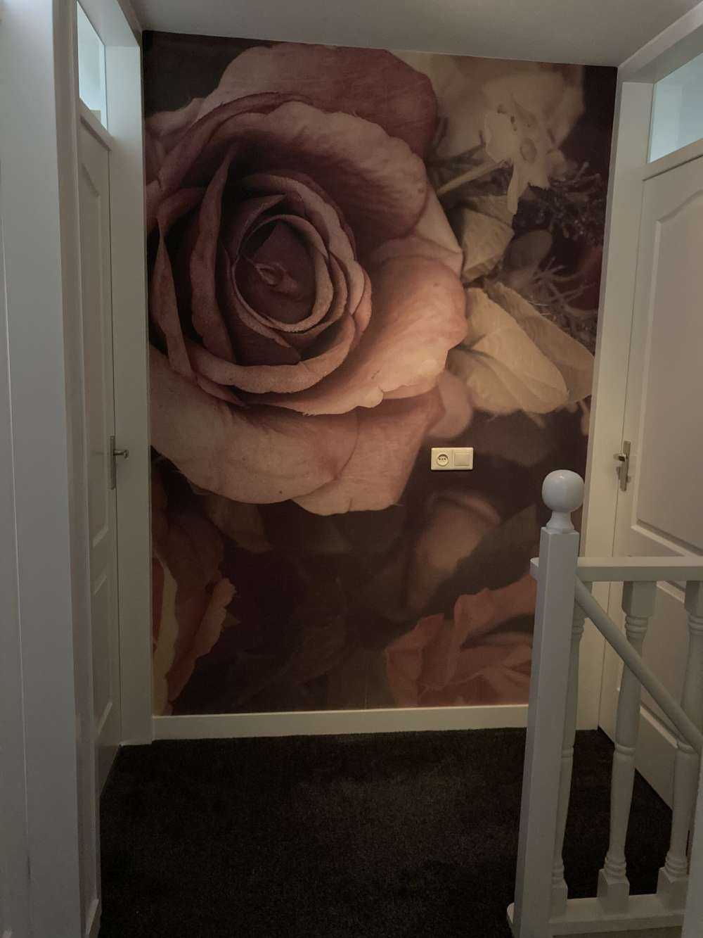 Roses roses vintage