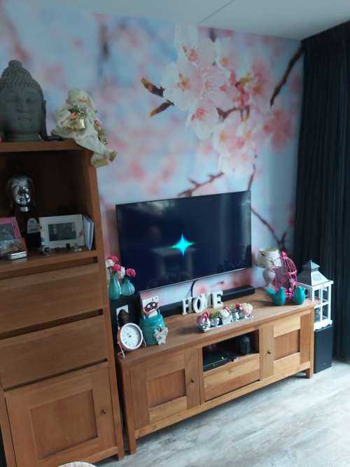 Fleurs japonaises