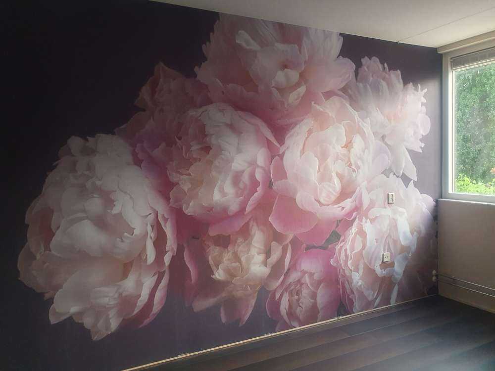 Bouquet de pivoines