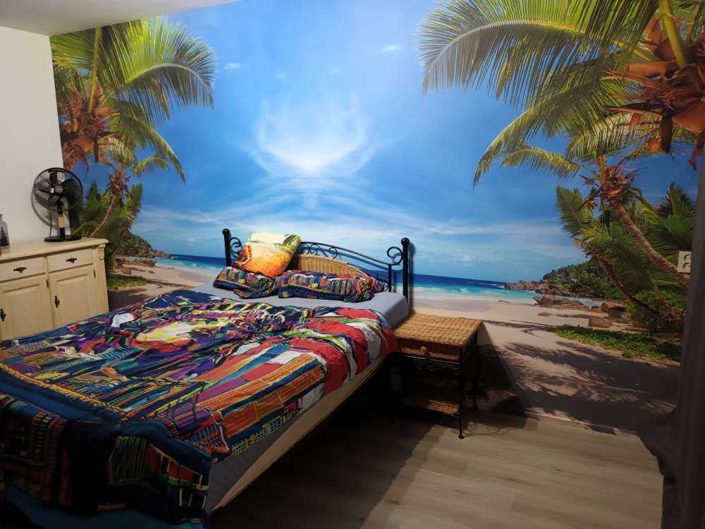 Plage tropicale avec palmier