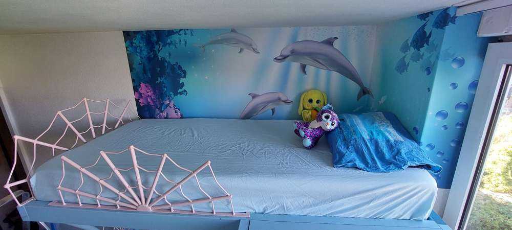 Le monde sous-marin avec les dauphins