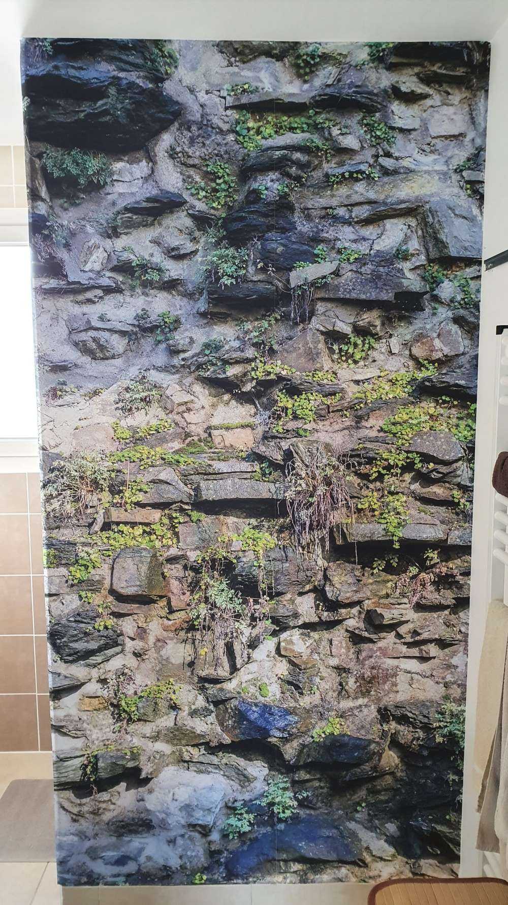 Mur envahi par la végétation