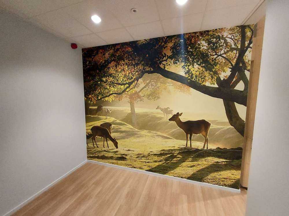 Cerfs à la campagne