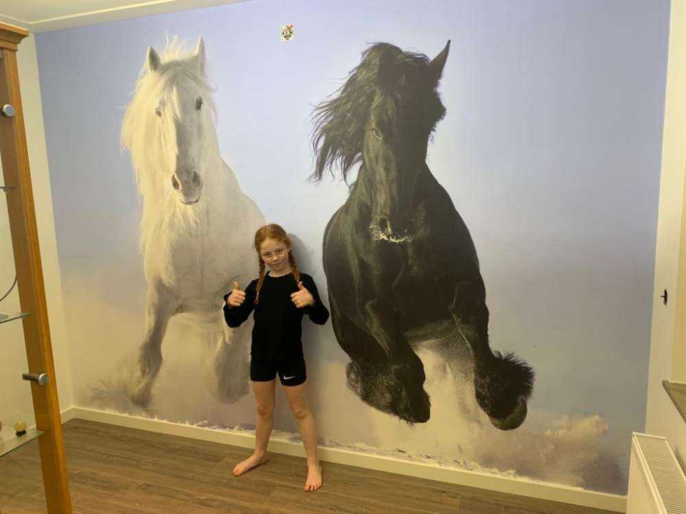 Cheval blanc et noir