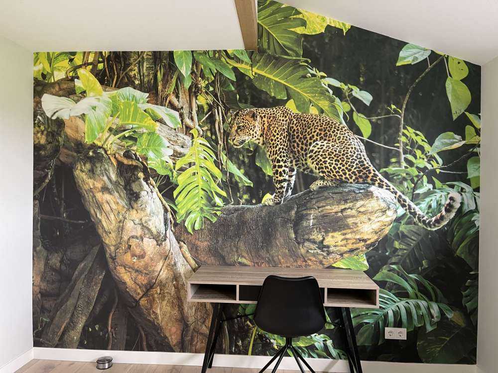 Léopard sur une branche