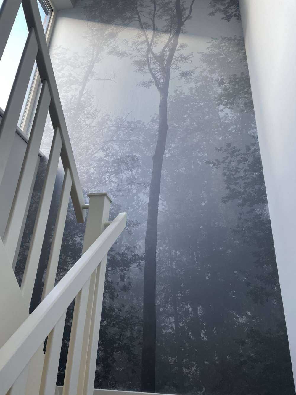 Brouillard dense dans la forêt