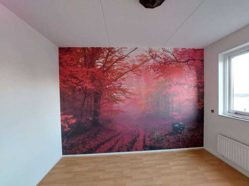 Forêt rouge
