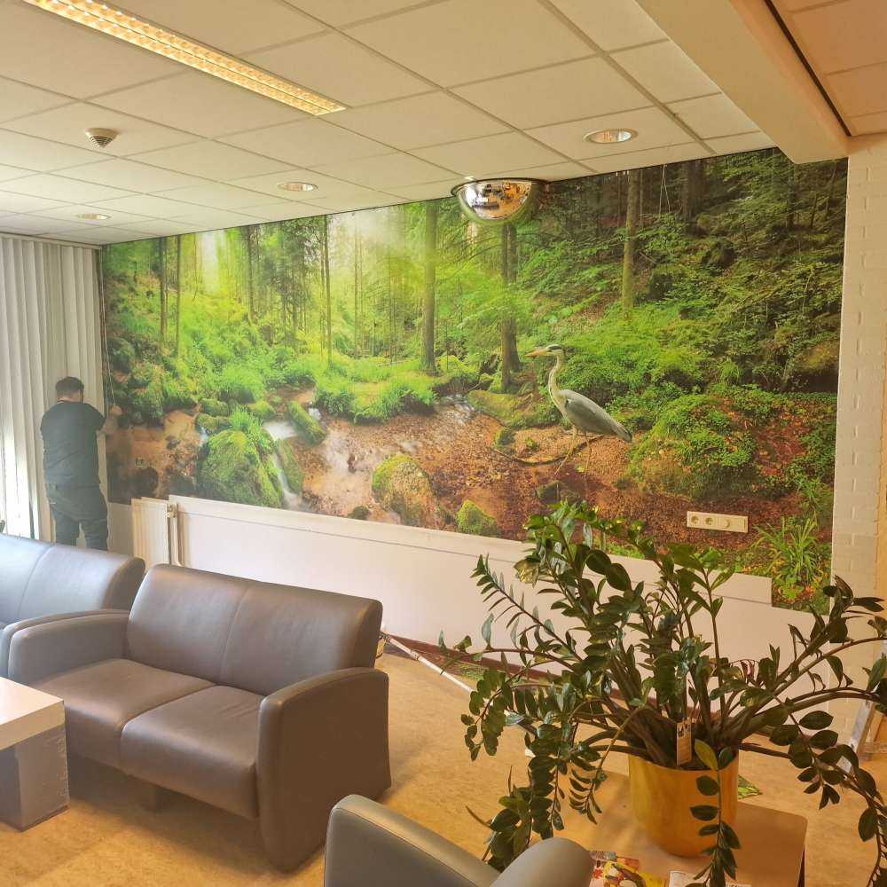 Paysage forestier enchanteur