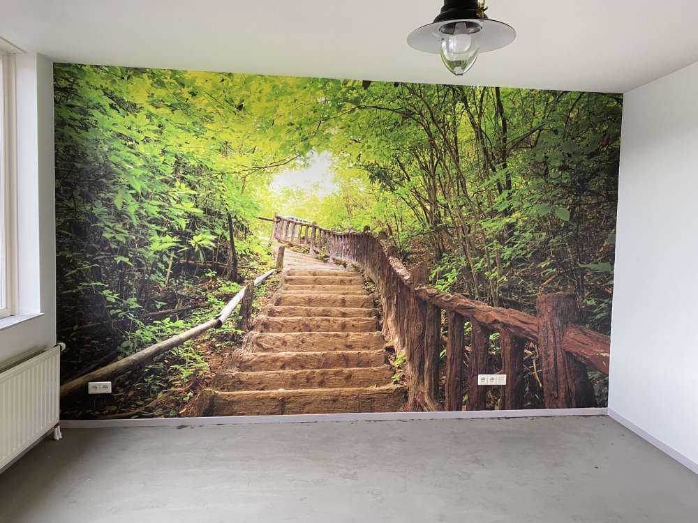 Escalier en forêt