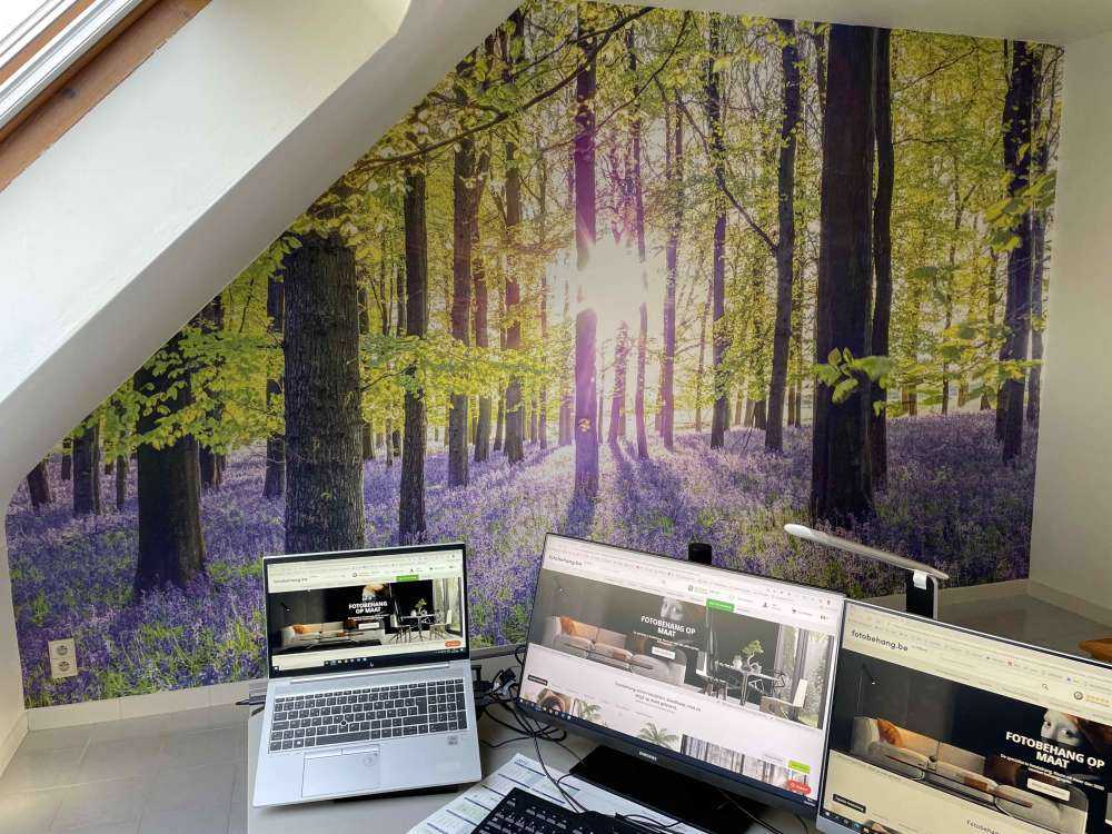 Forêt colorée