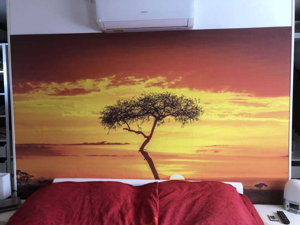 Primordial Africa