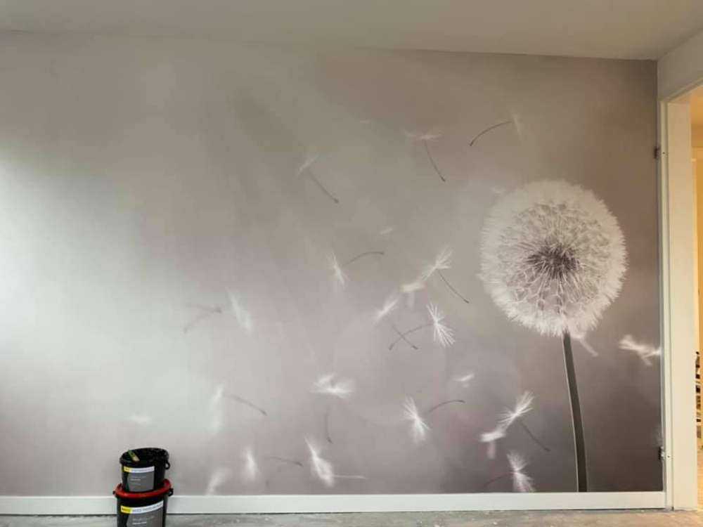 Pissenlit dans le vent