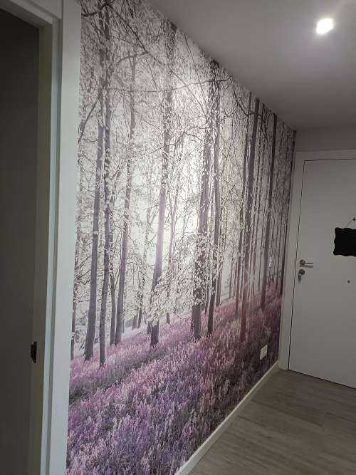 Forêt au printemps