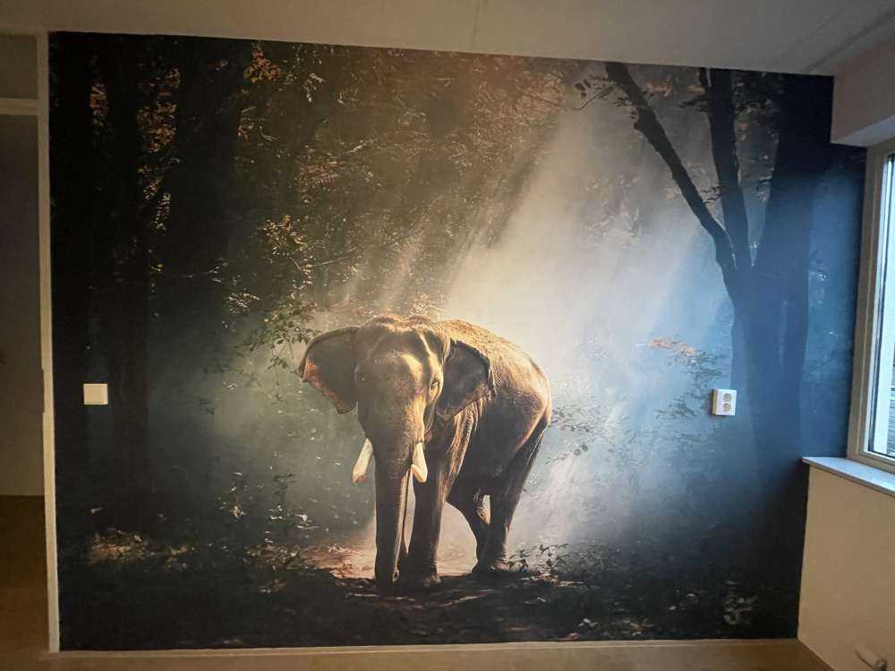 Éléphant dans une jungle