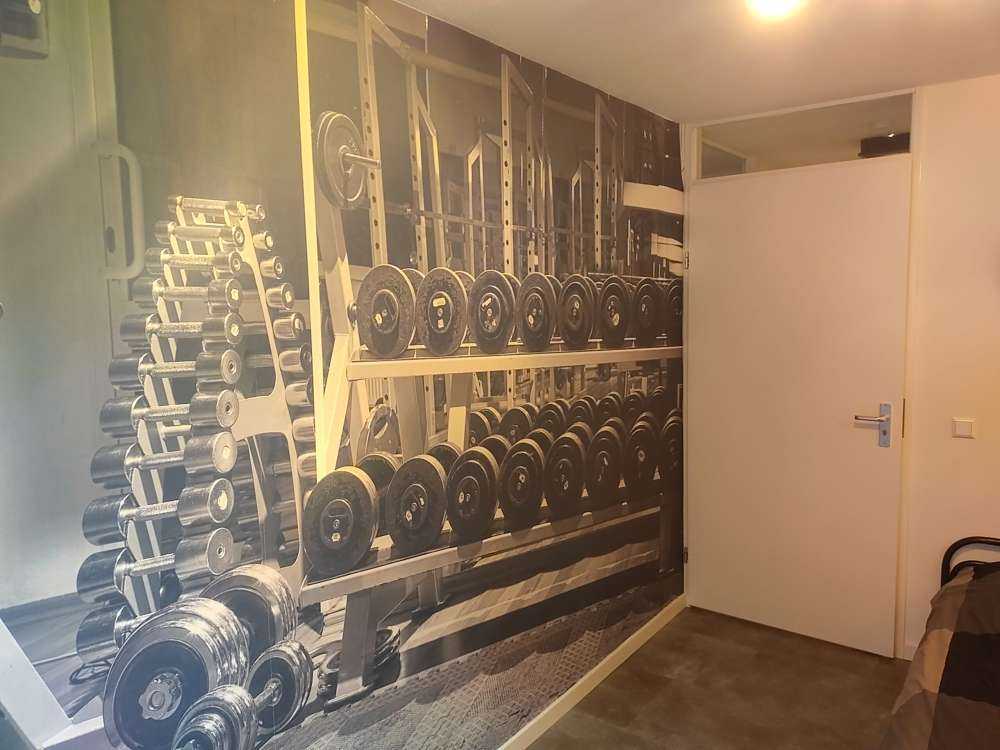 Ancien gymnase