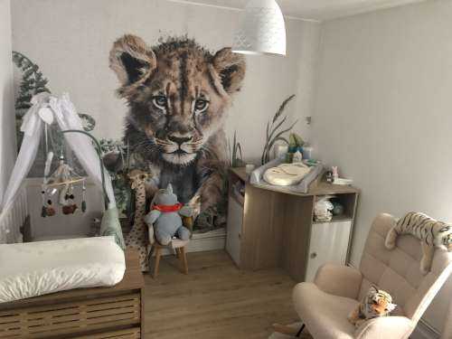 Bébé lion dans la jungle