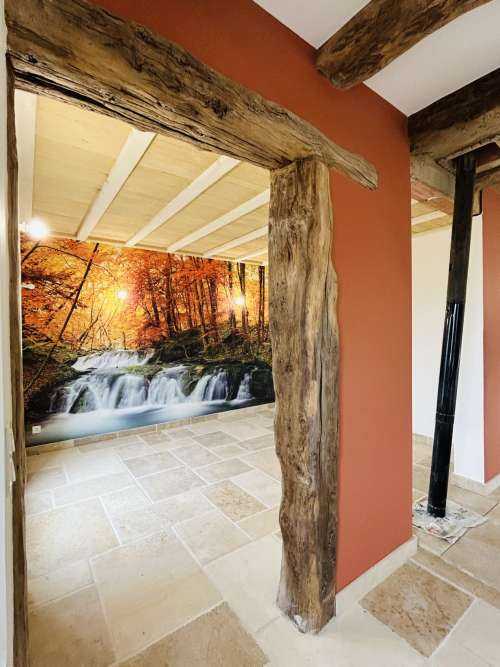 Automne orange