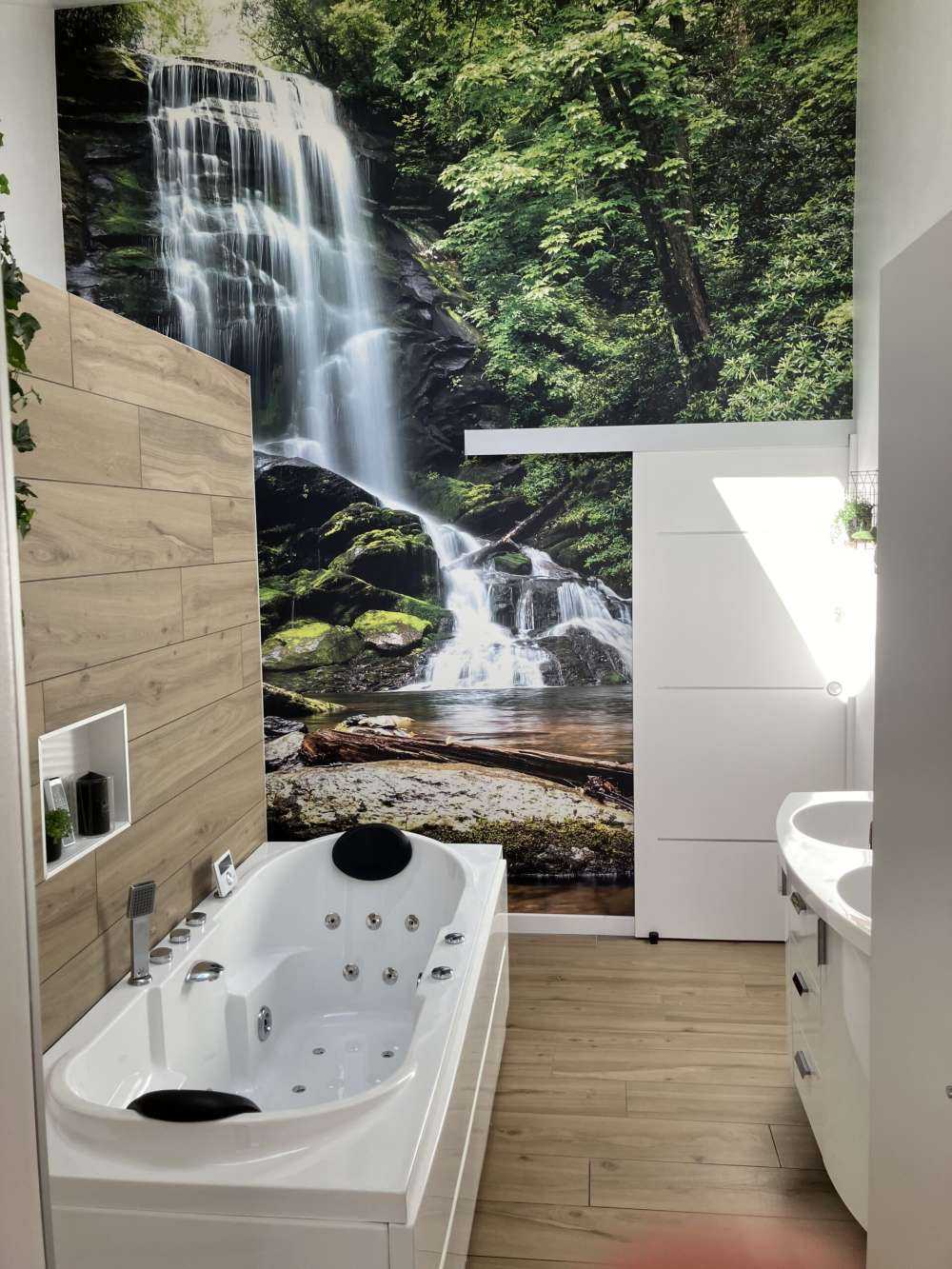 Chute d'eau de la jungle